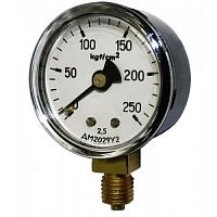 ДМ2029 100 кгс/см2 кл.2,5 М12х1,5 УТ000005373