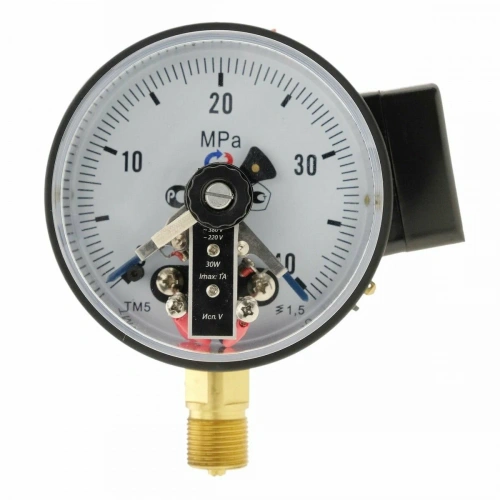 ТМ-510Р.04(0-1)МPa.G1/2.1,5 ЭКМ исп.IV(з+з) УТ000019568