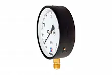 ТМ-610Р.00(0-16)MPa.M20х1,5.1,0 УТ000018925